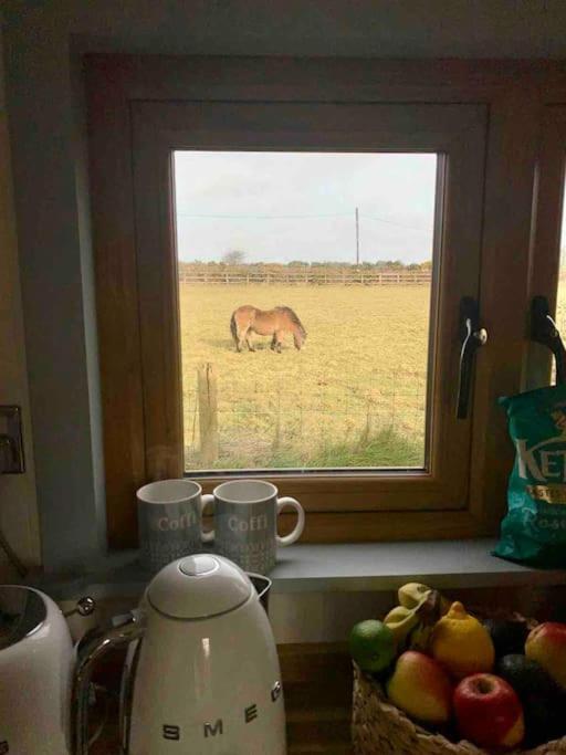 The Hut@Trefechan Wen - Coastal Coziness! Goodwick Buitenkant foto